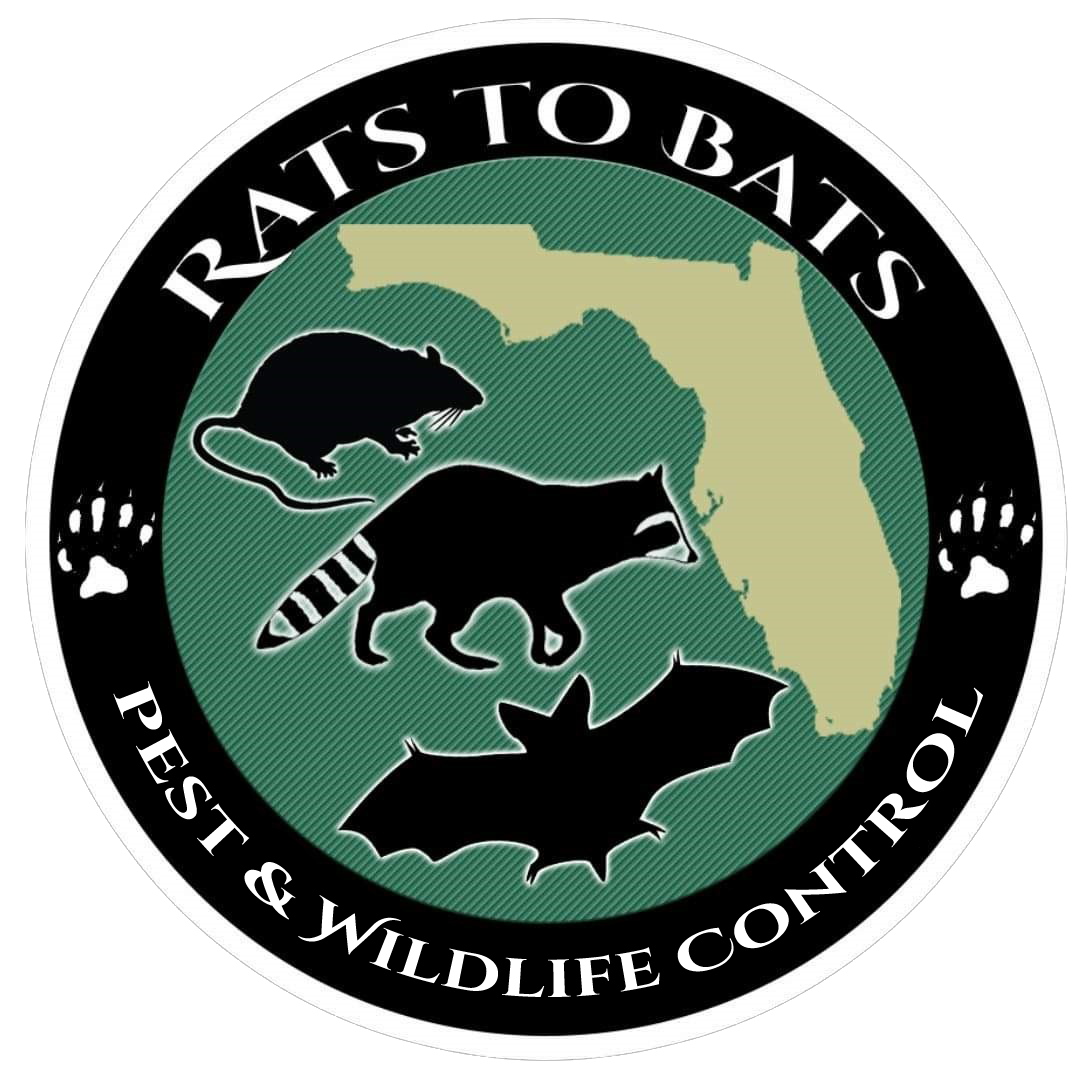 Rats to Bats Pest & Wildlife Control