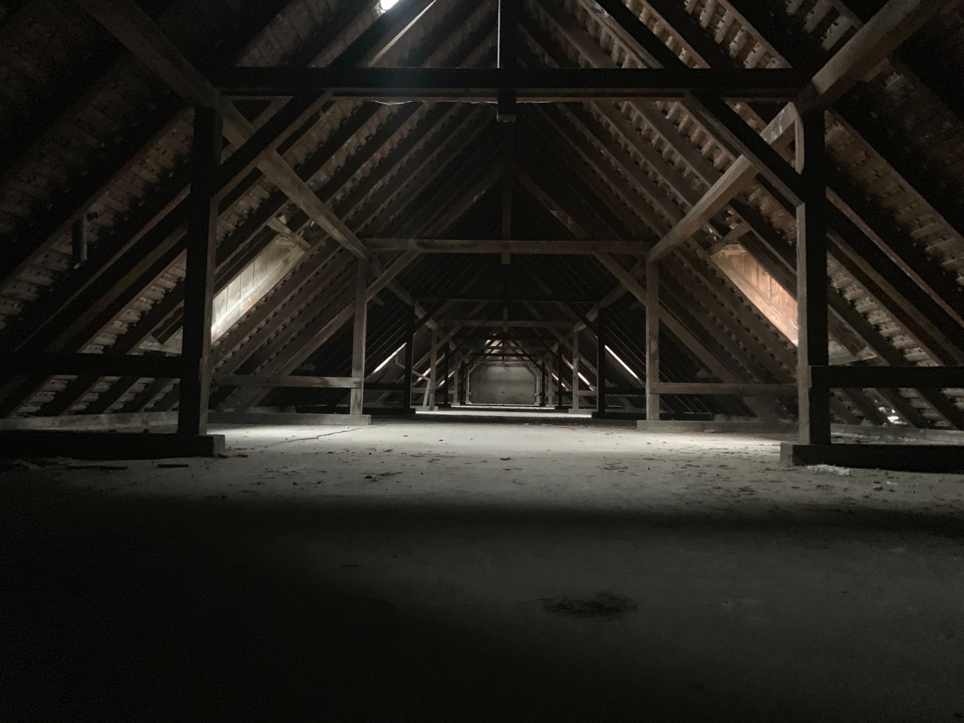 Rats to Bat Attic Clean Up cockroach treatment port st lucie